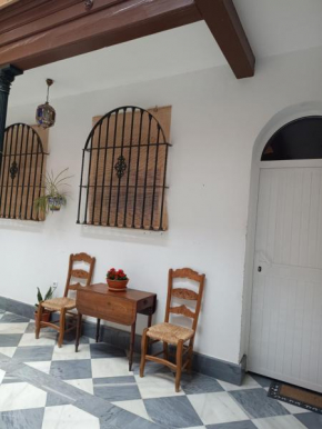 Vicario 11 Estudio